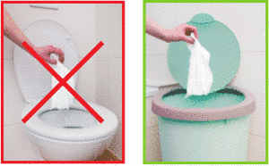 LINGETTES