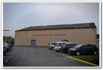 delaunemini