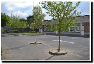 ecolegp cour mini