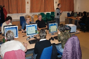 cyberbaseherin
