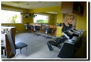 salonnd mini