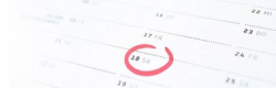 Agenda des manifestations